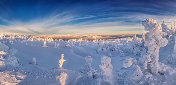 Paisaje invernal en las montañas al amanecer —  Fotos de Stock