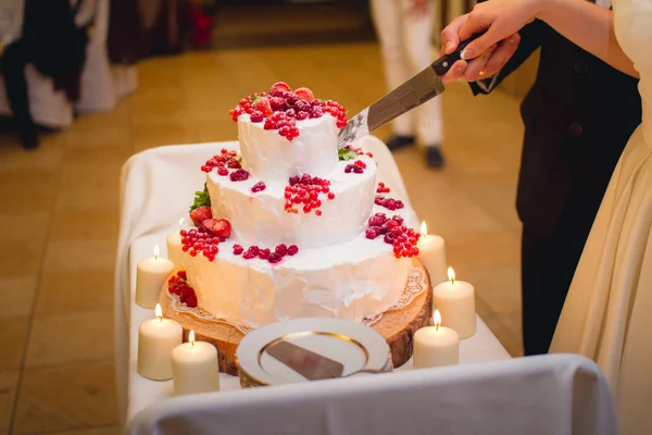 Les jeunes mariés coupant le gâteau de mariage — Photo