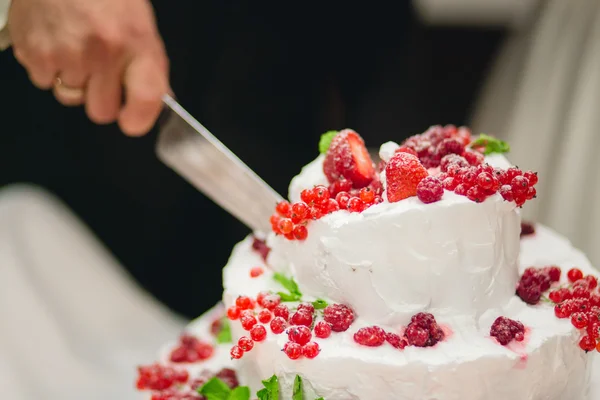 Novomanželé, krájení dortu — Stock fotografie