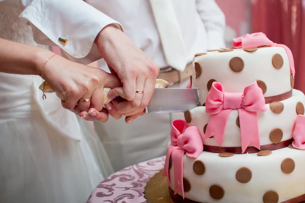 Recém-casados cortando o bolo de casamento — Fotografia de Stock