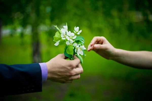 Цветы в мужской руке для девушки — стоковое фото