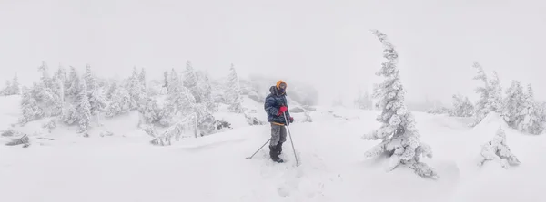 Excursionista en el bosque cubierto de nieve — Foto de Stock