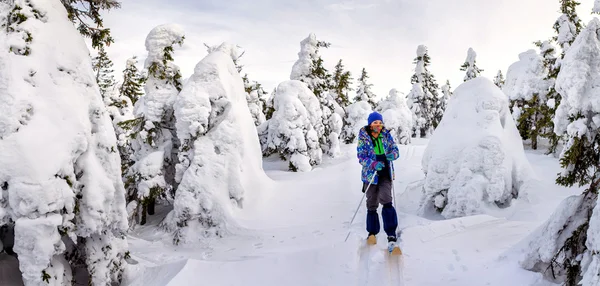 Skiër in besneeuwde bos — Stockfoto