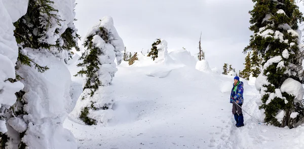 Mulher caminhante em uma floresta nevada — Fotografia de Stock