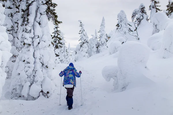 Mujer excursionista en un bosque nevado — Foto de Stock