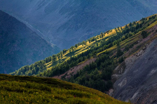 Zalesněné horské svahy a zasněženými vrcholy — Stock fotografie