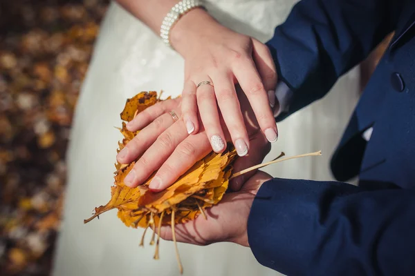 Noiva e noivo segurando anéis de casamento e folhas de outono em mãos — Fotografia de Stock