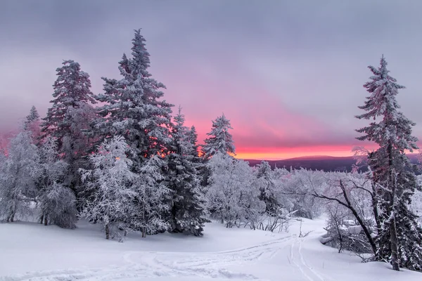 Sonnenuntergangspanorama im Winterwald auf einer Lichtung mit der Skipiste — Stockfoto