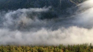 Şafakta dağlarda akan sis video lapse Time