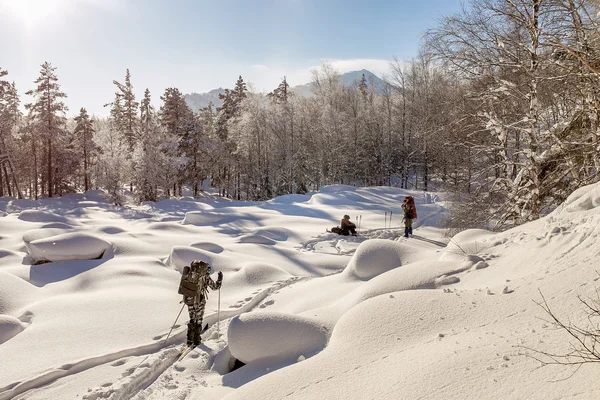 Groep van jonge skiërs backpackers in besneeuwde boslandschap — Stockfoto