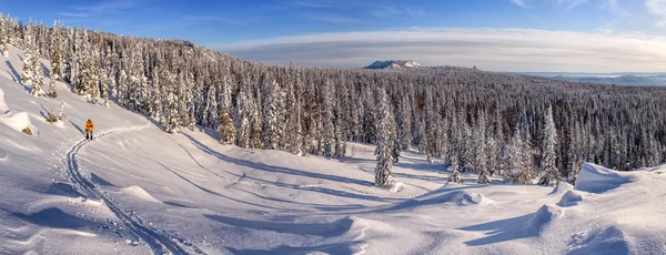 Зимова гірська сцена з лижником — стокове фото