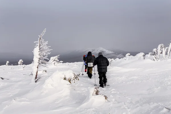 Touristengruppe im Winter auf dem Gipfel des Berges — Stockfoto