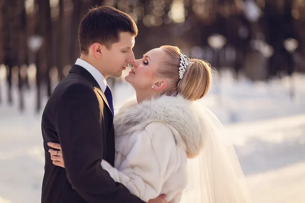 Поцелуй жениха и невесты в зимнем лесу — стоковое фото
