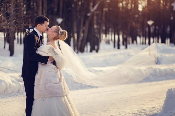 Lovers bride and groom in winter day outdoors with copy space — Stock Photo, Image