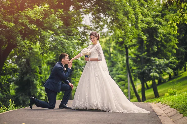 Le marié s'agenouille et embrasse la main de la mariée en t — Photo