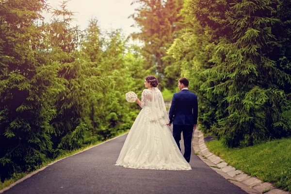 Bride and groom walking away in summer park outdoors — Stock Photo, Image