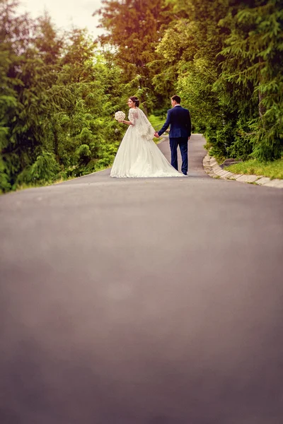 Bride and groom walking away in summer park outdoors — Stock Photo, Image