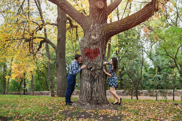 Paar gluren rond tegenover elkaar gelegen zijden van de boom. Concept van de liefde st — Stockfoto