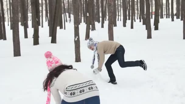 Jeune couple ayant un combat de boule de neige dans un champ de neige — Video