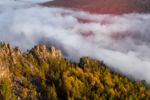 Скала и скала с лесом с туманом в осенних горах — стоковое фото