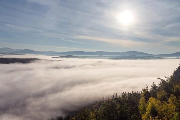 Низький туман і хмари з вершинами вічнозелених дерев на передньому плані — стокове фото