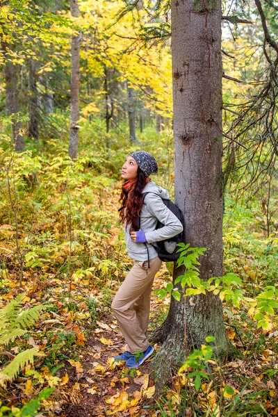 Turistické dívka s batohem je v borovém lese — Stock fotografie