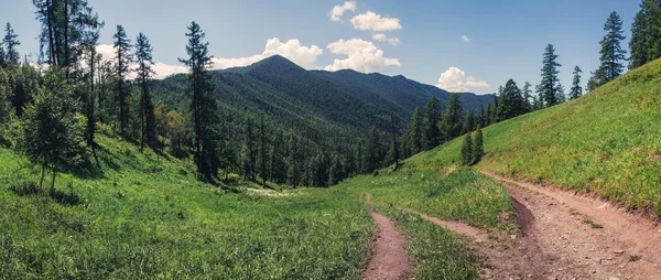 Paesaggio montano lungo un sentiero sterrato in montagna altai — Foto Stock