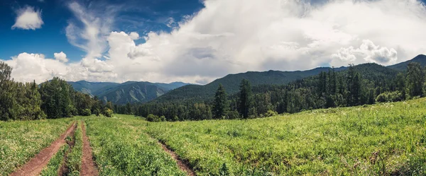 Горный пейзаж вдоль грунтовой тропы в горах Алтая — стоковое фото