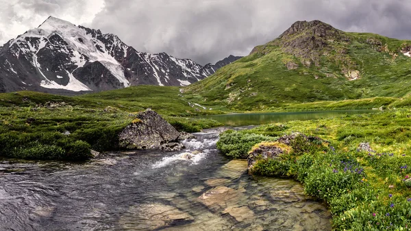 Paesaggio montano in verde valle con fiume cristallino — Foto Stock