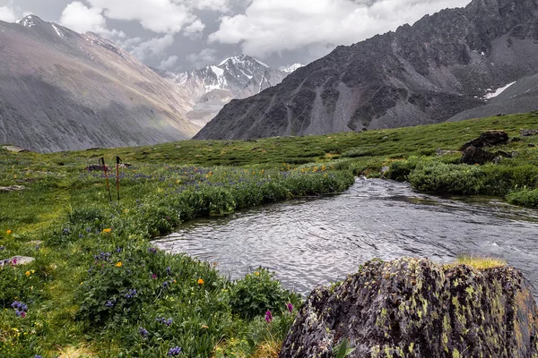 Paisaje de montaña en valle verde con río — Foto de Stock