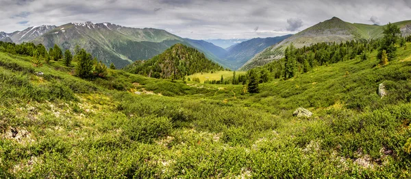 Una catena montuosa coperta di erba e arbusti . — Foto Stock