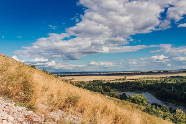 Літній пейзаж. ліс на гірському світлі падає на розчищення на горах — стокове фото