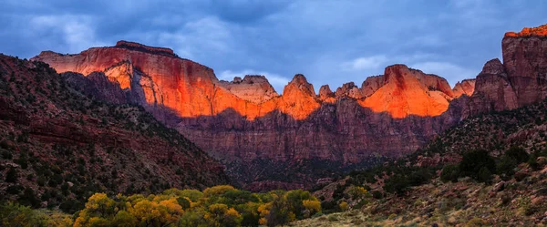 Häpnadsväckande Soluppgång Panorama Över Tornen Virgin Zion Canyon National Park — Stockfoto