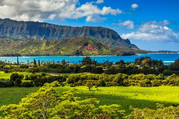 Прекрасний Тропічний Ландшафт Кауаї Гавайські Острови — стокове фото