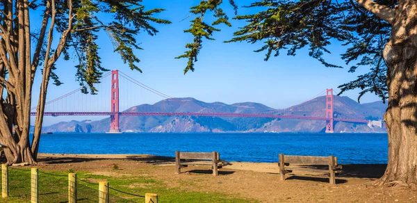 Golden Gate Bridge Inramad Träd San Francisco Kalifornien — Stockfoto