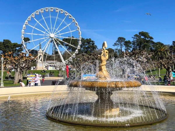 Golden Gate Park San Francisco Güneşli Bir Öğleden Sonra — Stok fotoğraf