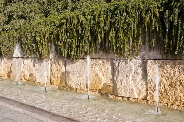 Fuente Agua Con Plantas Getty Center Los Ángeles California —  Fotos de Stock