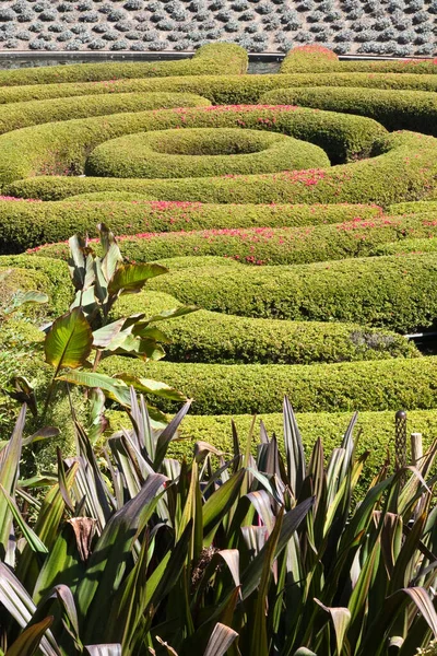 Okrasná Zahrada Los Angeles Kalifornie — Stock fotografie