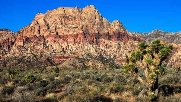 Red rock canyon monumentenreservaat — Stockfoto