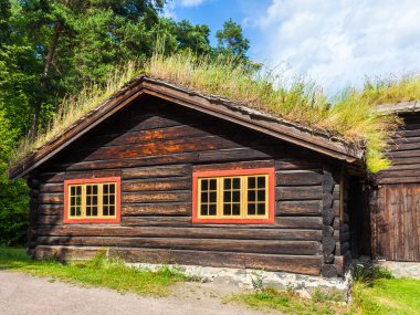 Eski Norveççe evi