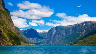 Sognefjord Panorama
