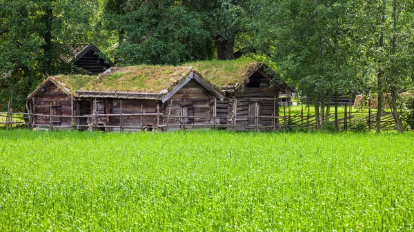 Noruega rural — Fotografia de Stock