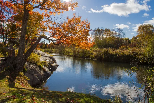 Autumn in Killarney Provincial Park Ontario  Canada — Stock Photo, Image