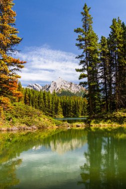 Rocky Dağları. Güzel Kanada manzarası. Jasper Ulusal Parkı 'ndaki sevimli Moose Gölü manzarası Alberta, Kanada, Kuzey Amerika 