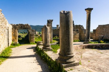 UNESCO mirası. Eski başkent Mauritani 'nin Roma kenti Volubilis' inin engin harabeleri. Meknes bölgesi, Fas, Kuzey Afrika