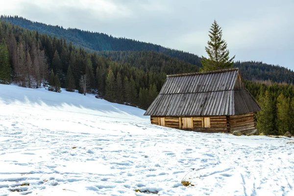 Typowy Tradycyjny Góralski Domek Drewniana Chata Pasterska Górska Polana Zimowej — Zdjęcie stockowe