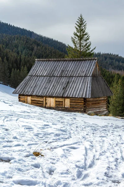 Typical Traditional Highlander Cottage Wooden Shepherd Hut Mountain Glade Winter — Photo