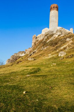 Olsztyn Polonya 'daki kireçtaşı kayalıklarındaki ortaçağ kraliyet kalesinin kalıntıları. Krakow-Czestochowa Upland, Polonya Jurassic Highland