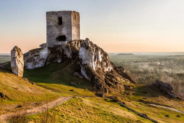 Ruinas Del Castillo Real Medieval Las Rocas Piedra Caliza Olsztyn — Foto de Stock