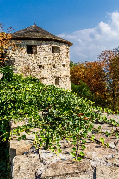 Ruiner Gamla Medeltida Slott Och Fästning Hukvaldy Murar Och Torn — Stockfoto